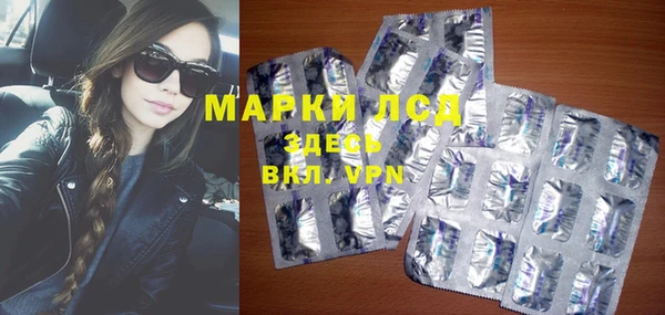 эйфоретик Елизово