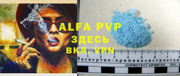 эйфоретик Елизово