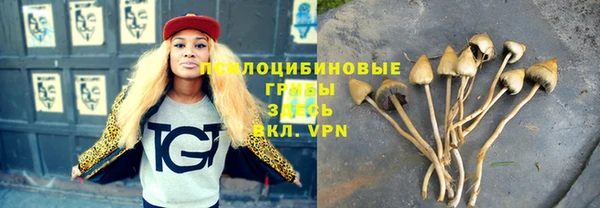 наркотики Ельня